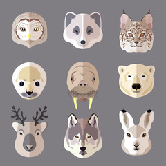 Fototapeta premium Animal portrait flat icon set