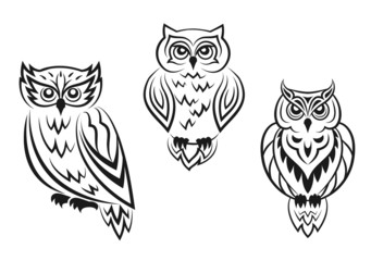 Fototapeta premium Black and white owl bird tatoos