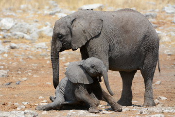 Steh auf, Baby! © renatehenkel