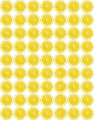 TRAMA LIMONE BIOLOGICO FETTE