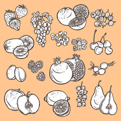 Fruits and berries sketch icons