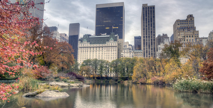 Plaza Hotel In Autumn