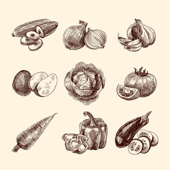 Vegetables sketch set