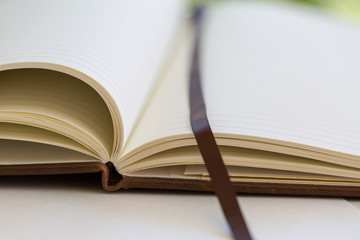 close up on open book pages