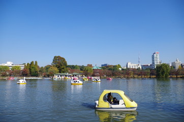 Obraz premium 上野恩賜公園とボート