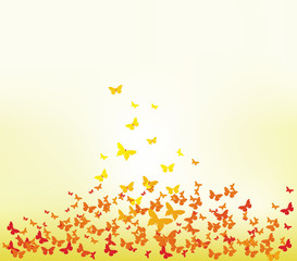 spring with colorful butterflies
