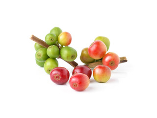 ripe coffee beans on white background