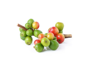 Fresh coffee beans isolated on white background