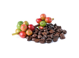 coffee beans and ripe coffee isolated on white background.