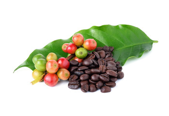 coffee beans and ripe coffee isolated on white background.