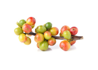 coffee beans isolated on white background