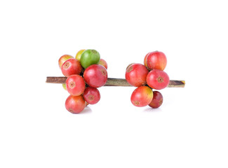 coffee beans isolated on white background