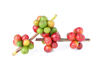 coffee beans isolated on white background
