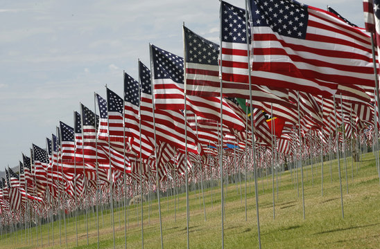 Rows of US Flags