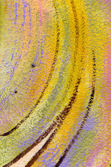 Abstract traces  of the roller on the plaster