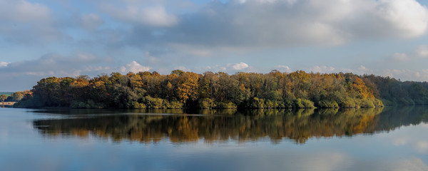 autumn forest and reflection