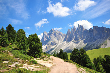 Hiking path in Alps