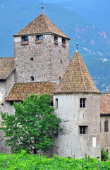 Fototapeta na wymiar Bolzano castle