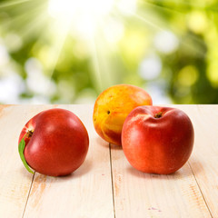 three nectarines against the sun