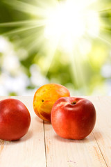 image of three nectarines against the sun