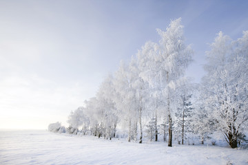 Walk through the beautiful places frosty Russian winter
