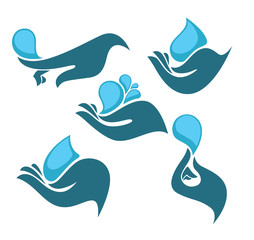 clean human hands and fresh water