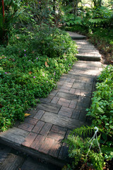 Pathway in a Green Park