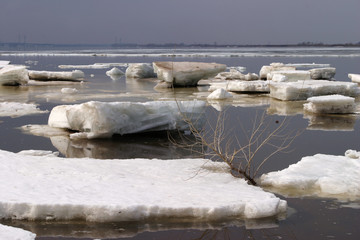 spring break © salman2