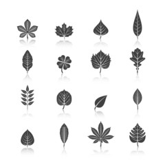 Plant Leaves Black Icons Set