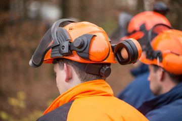 forest worker background