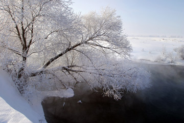 Foggy morning on the river