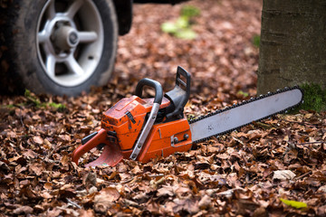 chainsaw in the woods