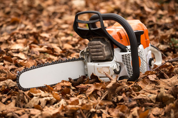 chainsaw in the woods
