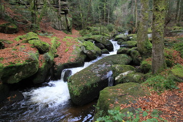 vallée des Darots - Auvergne