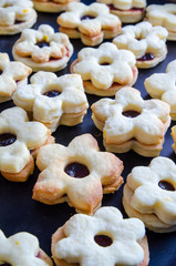 Christmas cookie stars fresh baked gingerbread powdered sugar