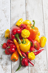 Paprika (Capsicum), Peperoni, Habaneros, gelb, rot, orange, grün