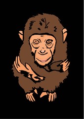 Little monkey