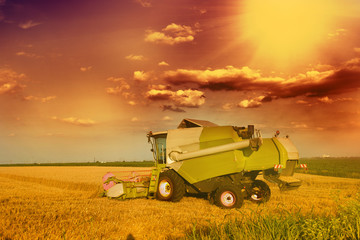 Fototapeta premium Combine harvester