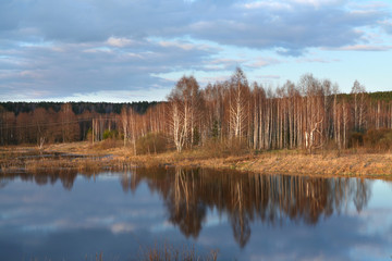 Early spring on the river