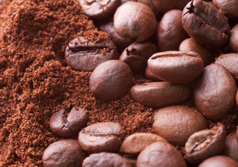 coffee beans
