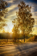Road in rural district in autumn time