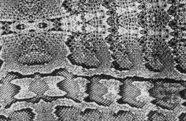 texture of print fabric stripes snake leather