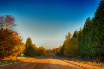 Fototapeta premium Road in rural district in autumn time