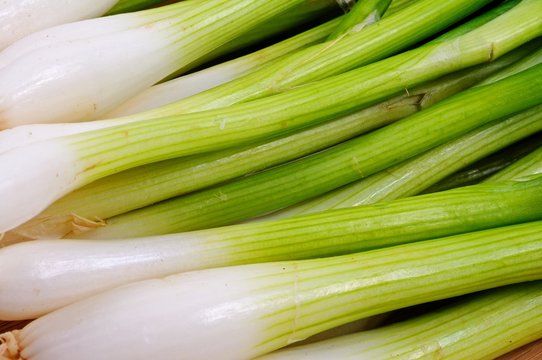 White spring onions © Arena Photo UK