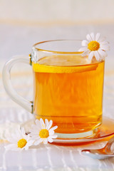 Hot tea daisy isolated.