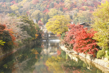 Obraz premium 京都 嵐山 紅葉