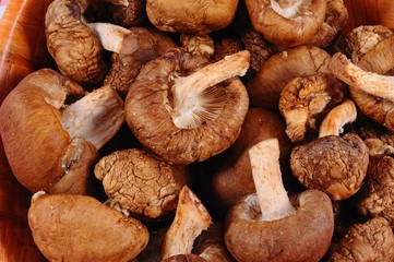 Raw Shiitake mushrooms © Arena Photo UK