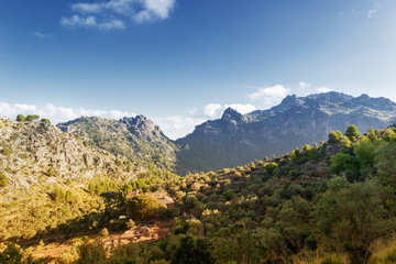 Obraz premium mallorca tramuntana gebirge