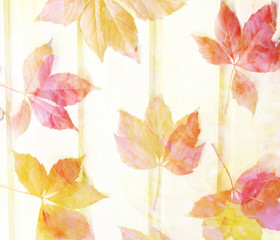 Scenic abstract background with leaves made with color filters,