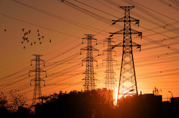 Electric Power pylon with flock birds at Sunset.